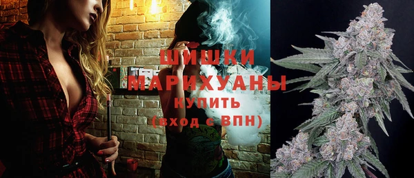 тгк Богородицк