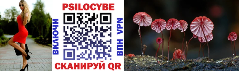 купить наркотик  нарко площадка клад  Галлюциногенные грибы GOLDEN TEACHER  Дмитровск 